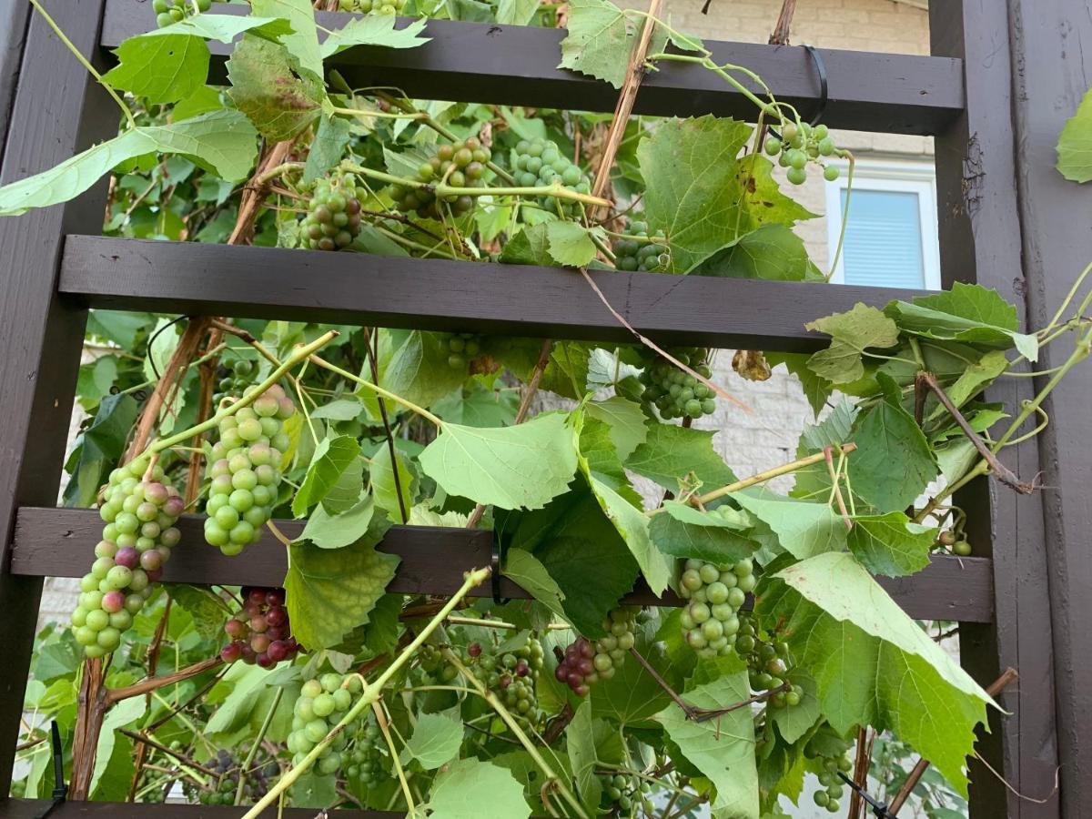 Auberge Chez Caro Sacre-Coeur Εξωτερικό φωτογραφία